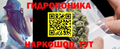 крисы Краснодар