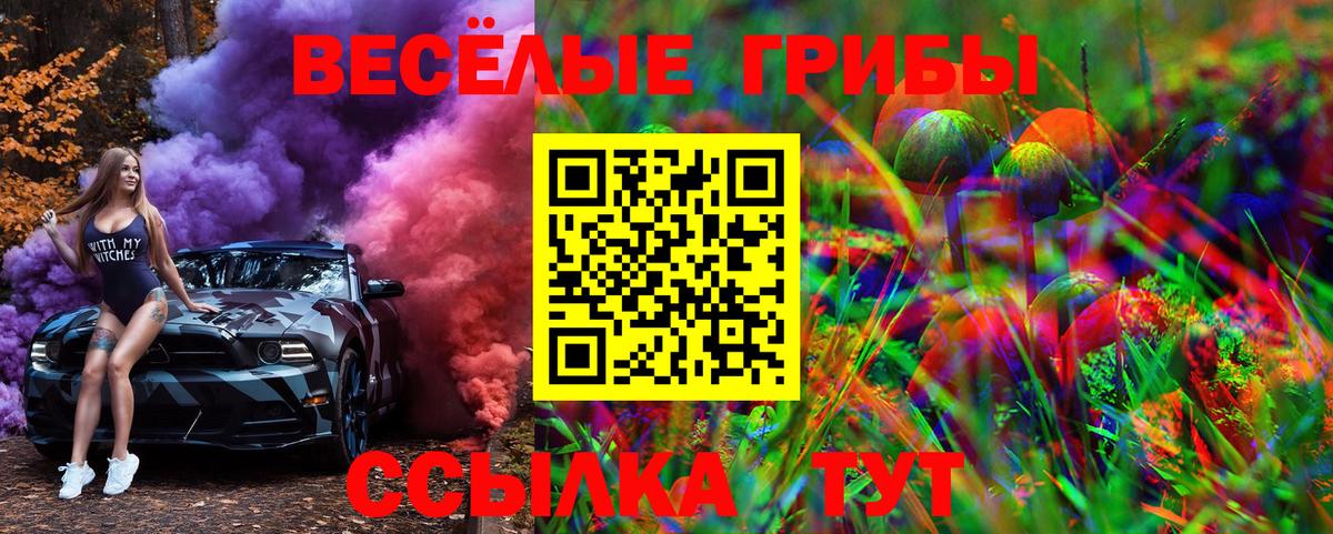 Псилоцибиновые грибы GOLDEN TEACHER  Вход с VPN  Аксай 